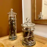 Casa Simona 5 Min Bormio Free Parking * ヴァルディソット